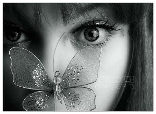 User Photo