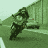 User Photo