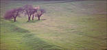 tn_gallery_7_17_1115766209.jpg