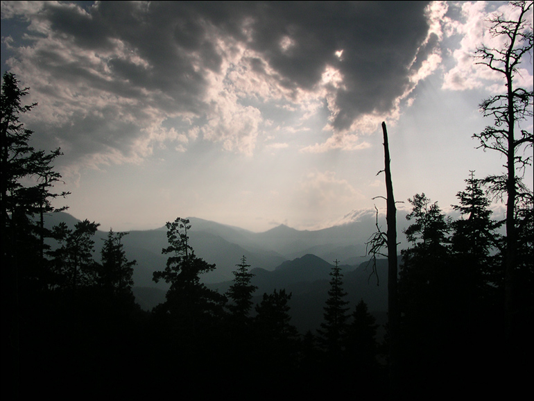 gallery_23_15_1121774428.jpg