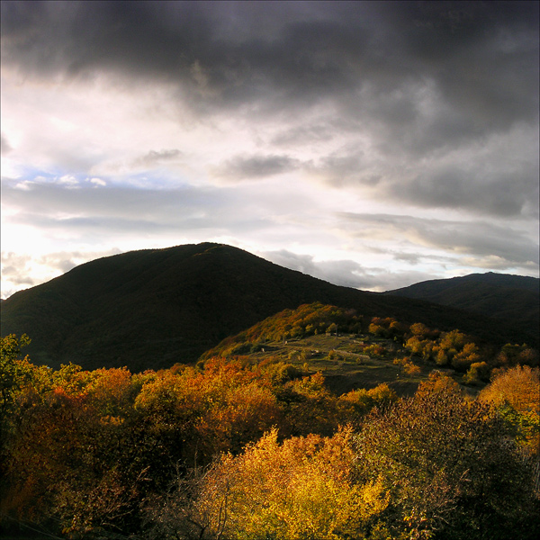 gallery_23_2_1129898253.jpg