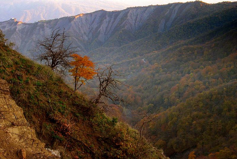 gallery_23_2_1130682498.jpg
