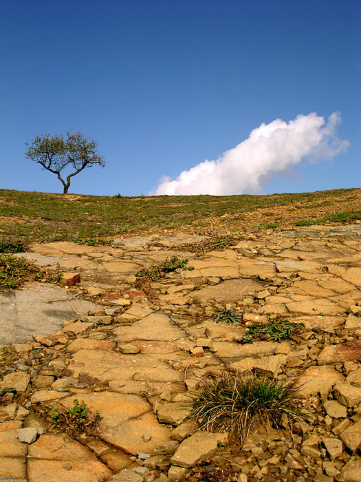 gallery_23_2_1131096339.jpg