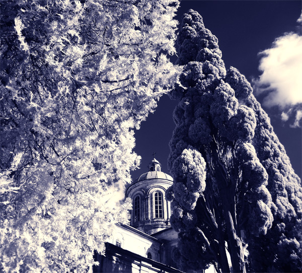 gallery_268_2_1132602201.jpg