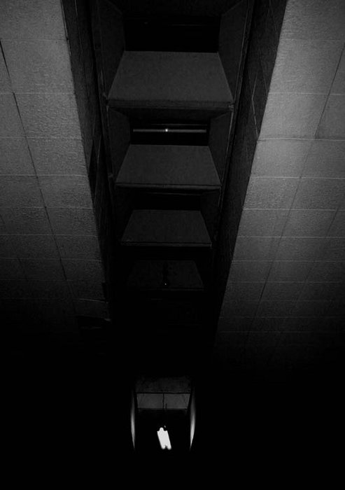gallery_788_10_1138020678.jpg