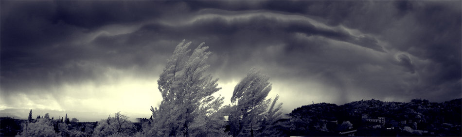gallery_268_4_1145735650.jpg