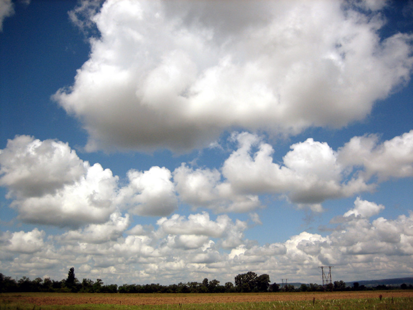 gallery_1646_2_1152638001.jpg