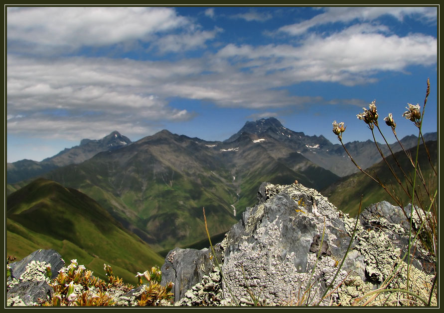 gallery_26_2_1162838260.jpg