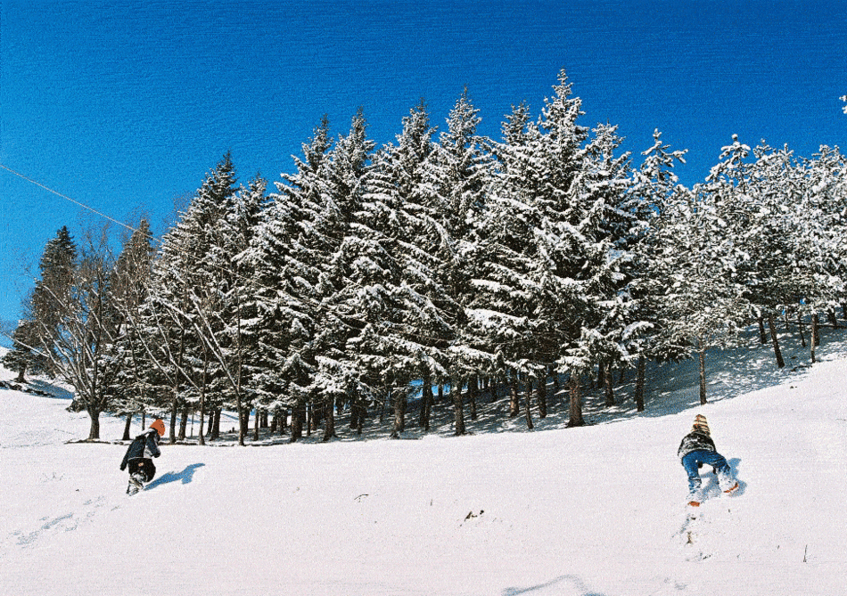 gallery_4505_2_1173091399.gif
