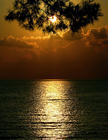 tn_gallery_27_2_1179395555.jpg