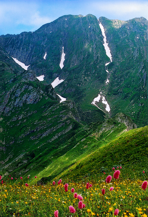 gallery_27_2_1188130299.jpg
