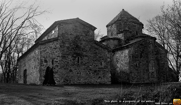 gallery_520_9_1193244266.jpg