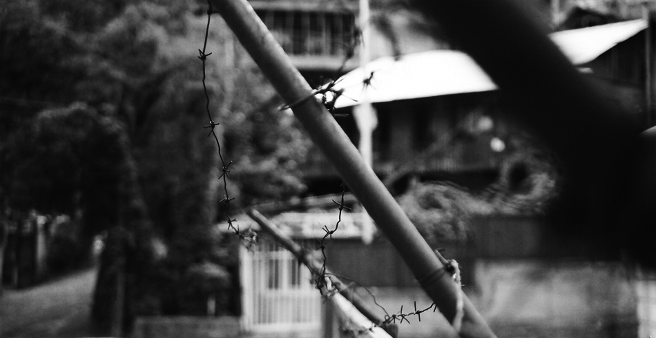 gallery_6516_6_1194513868.jpg