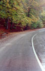 tn_gallery_7_2_1201980564.jpg