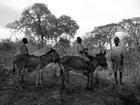 tn_gallery_10_7_1202236433.jpg