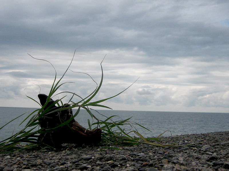 gallery_20344_2_1203250800.jpg