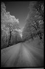 tn_gallery_2171_2_1204810107.jpg