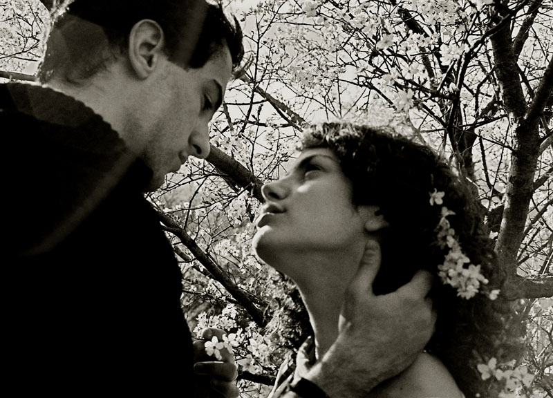 gallery_1425_22_1205360794.jpg