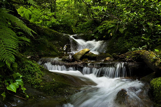 gallery_835_59_1216017976.jpg