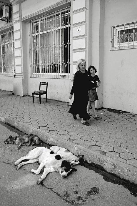 gallery_4078_7_1217269579.jpg