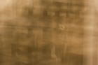 tn_gallery_7_22_1216993771.jpg