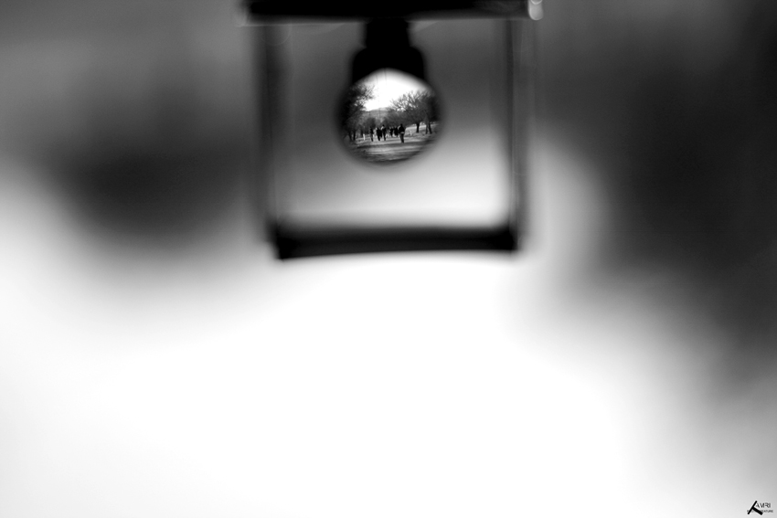gallery_479_2_1222285496.jpg