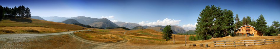 gallery_2468_4_1225354066.jpg