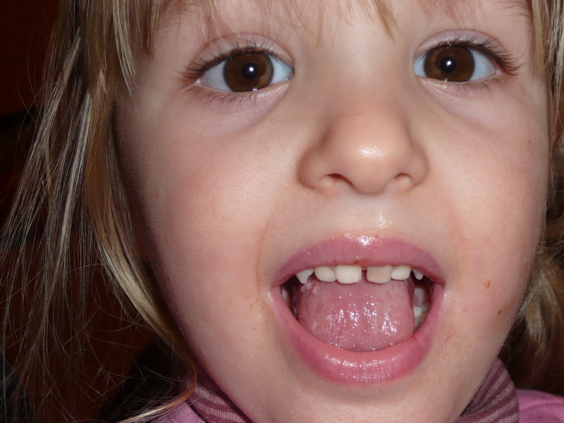 gallery_20344_3_1229801803.jpg