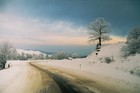 tn_gallery_21309_2_1232229758.jpg