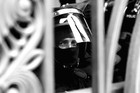 tn_gallery_6638_3_1239478245.jpg