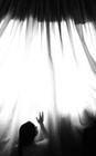 tn_gallery_13563_6_1242071163.jpg