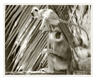 tn_gallery_10_3_1242556451.jpg