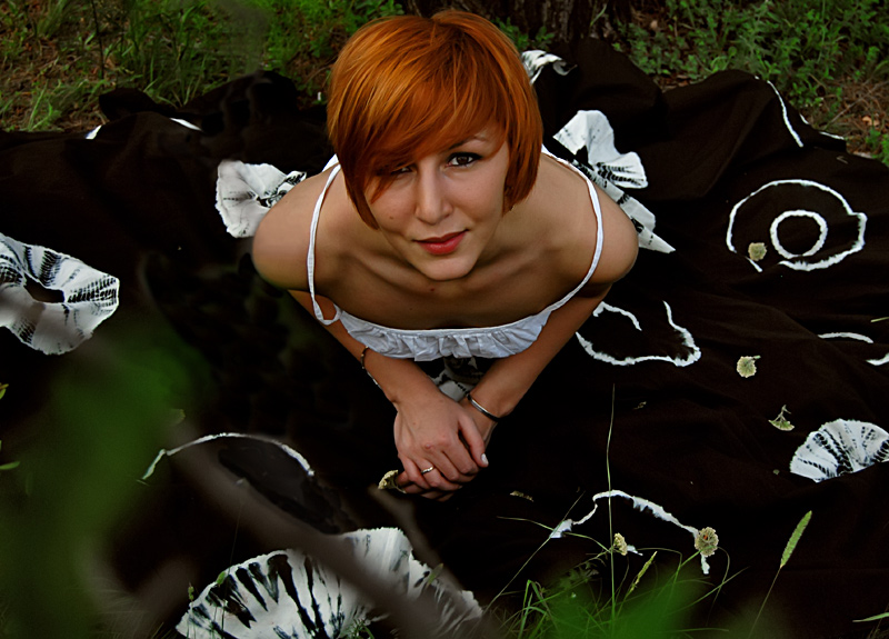 gallery_12895_3_1245141510.jpg