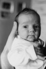 tn_gallery_9_22_1246093610.jpg