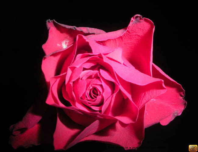 gallery_19869_34_1253191194.jpg