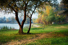 tn_gallery_22160_2_1291000197.jpg