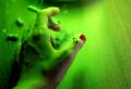 Latest Photo on www.BOKE.ge