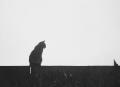 Latest Photo on www.BOKE.ge